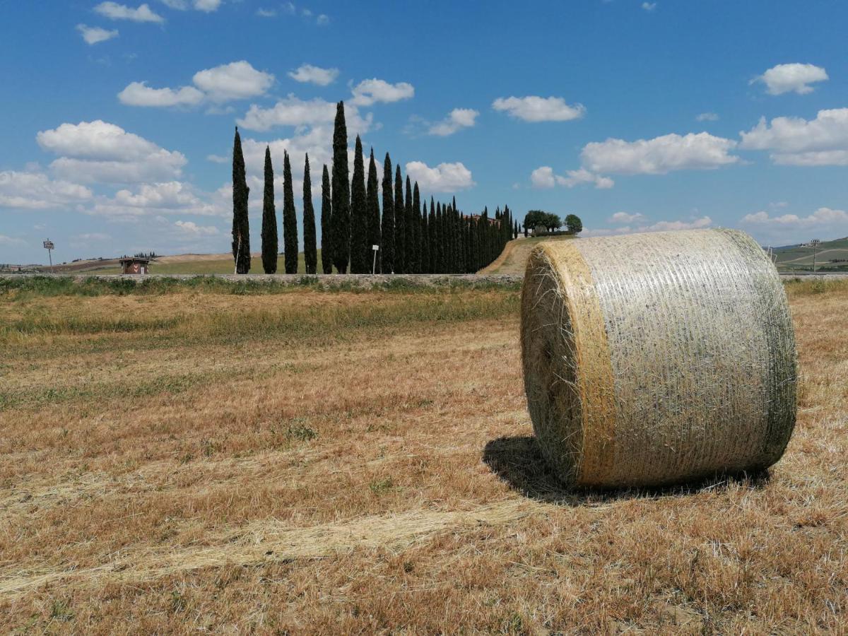 Agriturismo La Poderina Bagno Vignoni Zewnętrze zdjęcie