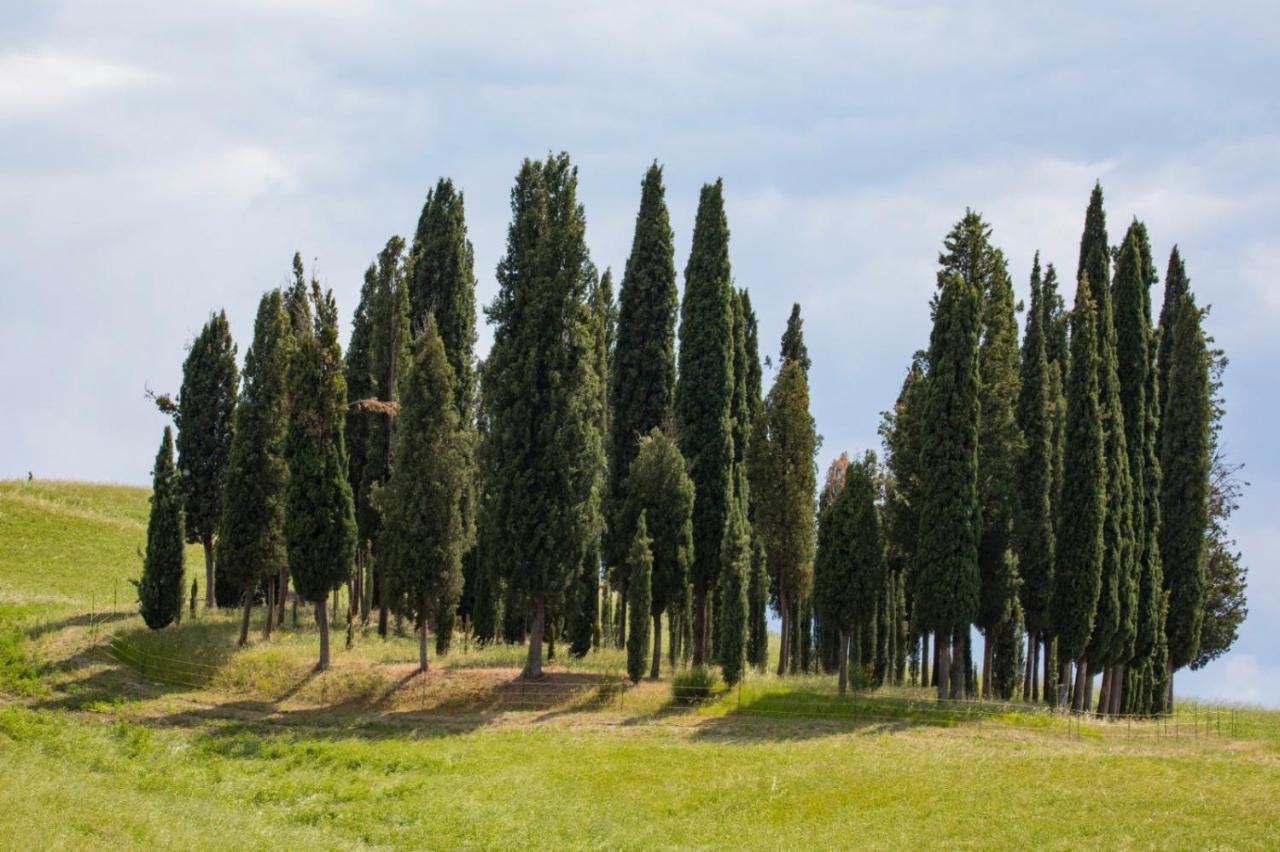 Agriturismo La Poderina Bagno Vignoni Zewnętrze zdjęcie