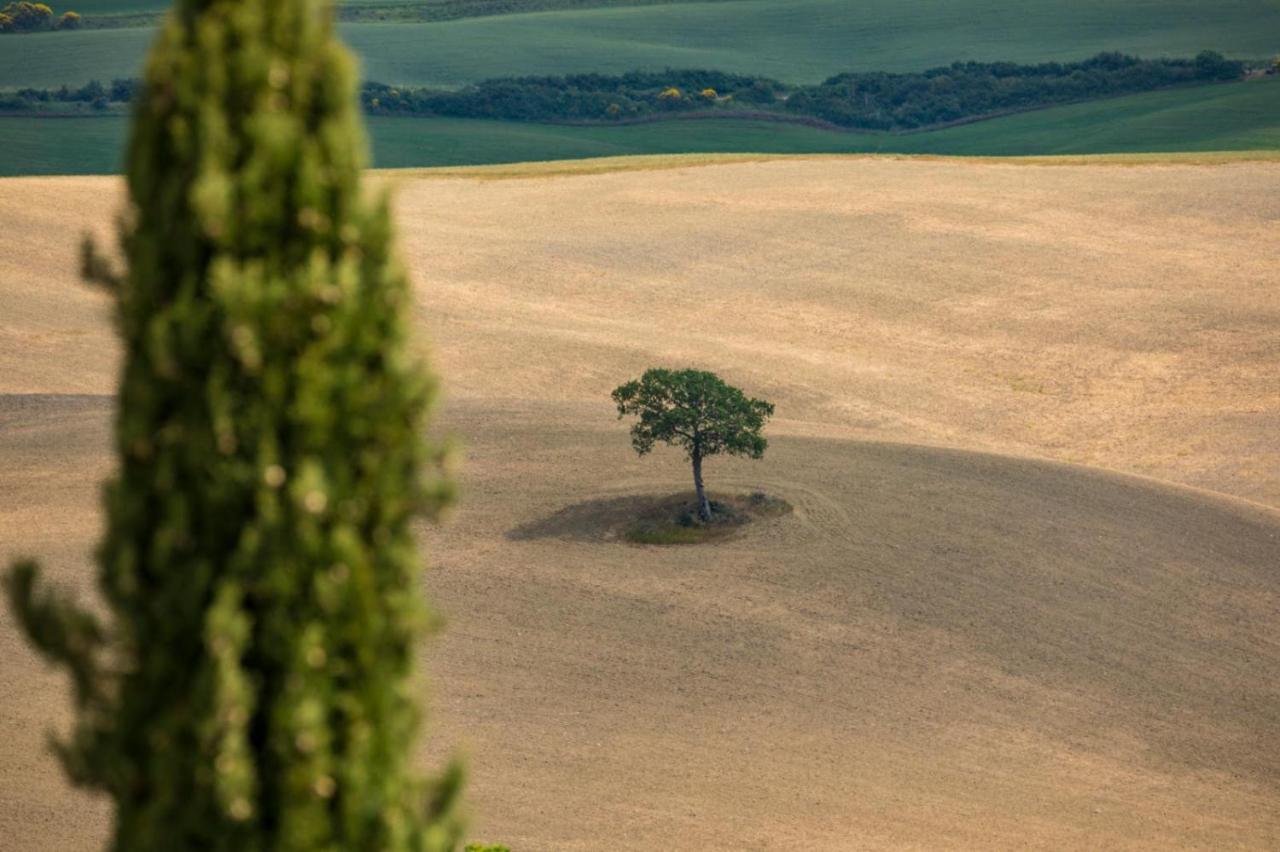 Agriturismo La Poderina Bagno Vignoni Zewnętrze zdjęcie