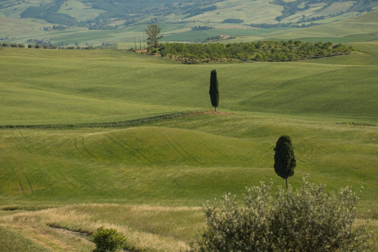 Agriturismo La Poderina Bagno Vignoni Zewnętrze zdjęcie